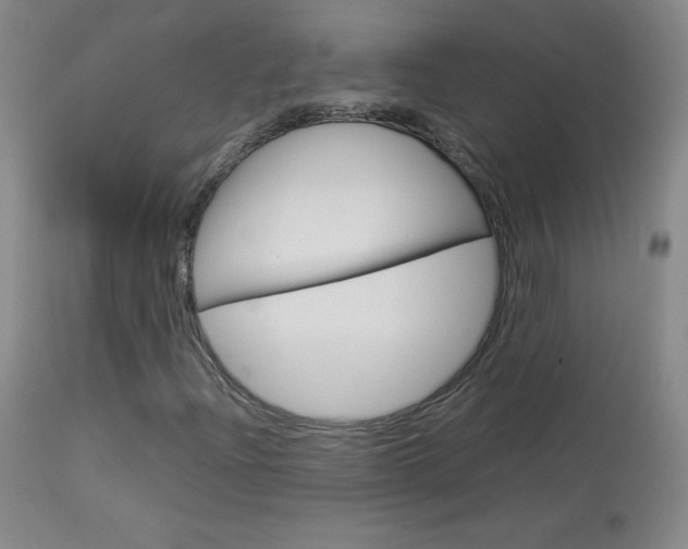 X0000114141204200910081018