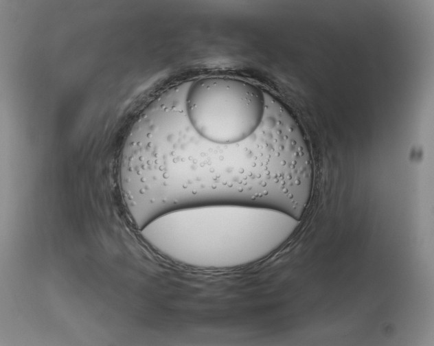 X0000114141205200910081018