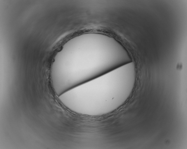 X0000114141206200910081018