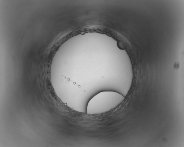 X0000114141207200910081018