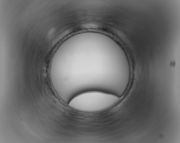 X0000114141209200910081018