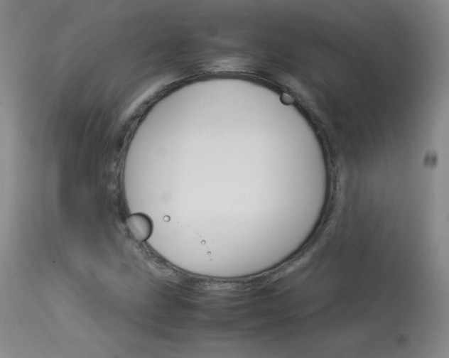 X0000114141211200910081018