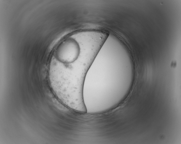 X0000114141212200910081018