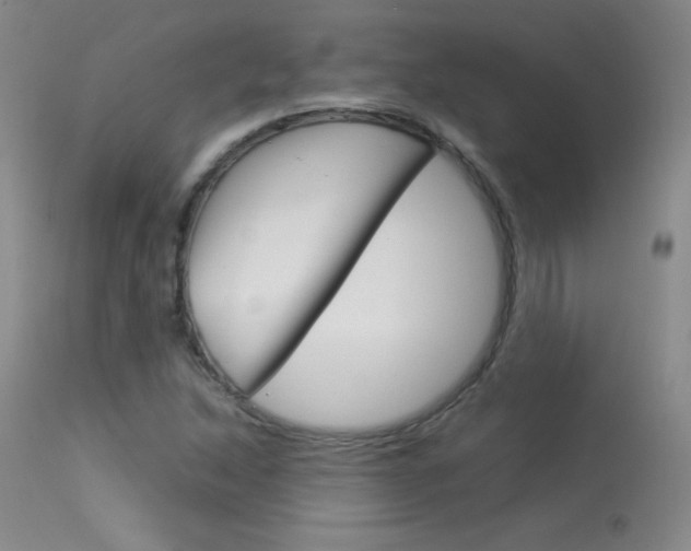 X0000114141214200910081018