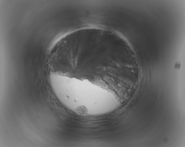 X0000114141215200910081018