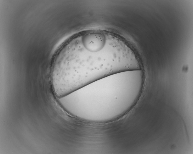 X0000114141216200910081018