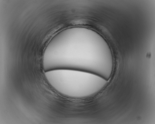 X0000114141217200910081018