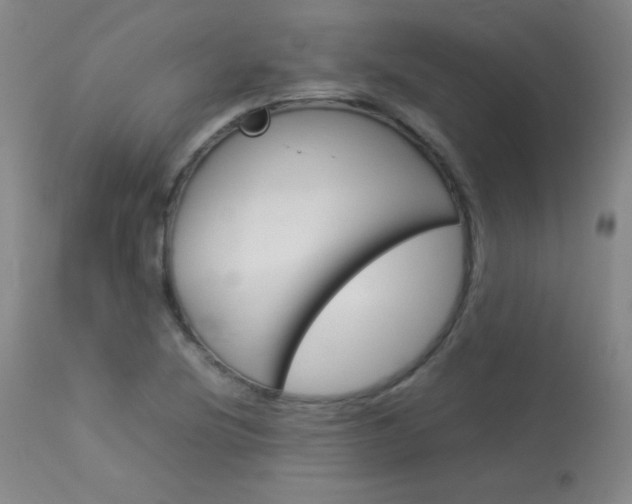 X0000114141220200910081018