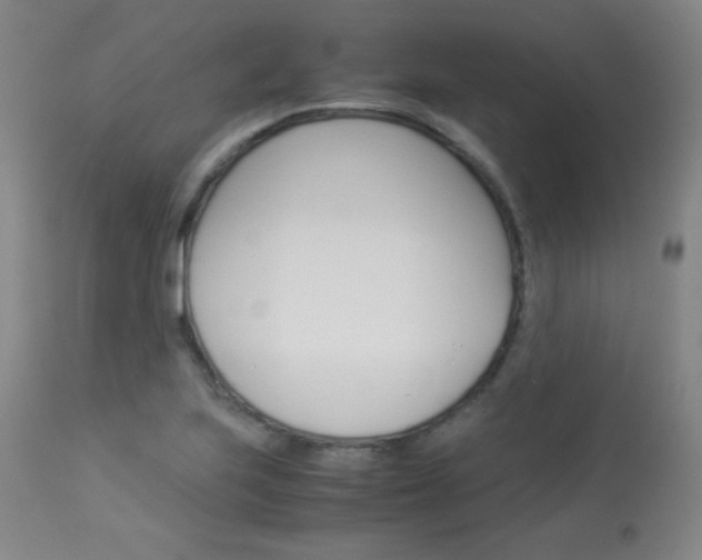 X0000114141223200910081018