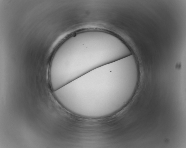 X0000114141224200910081018