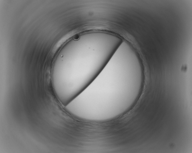 X0000114141226200910081018