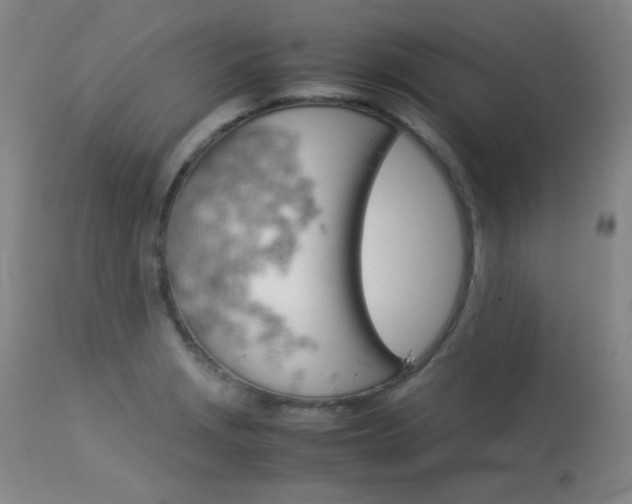 X0000114141229200910081018