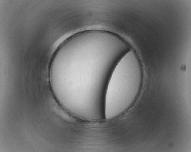 X0000114141230200910081019