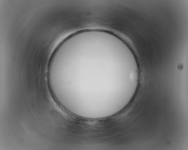 X0000114141231200910081019