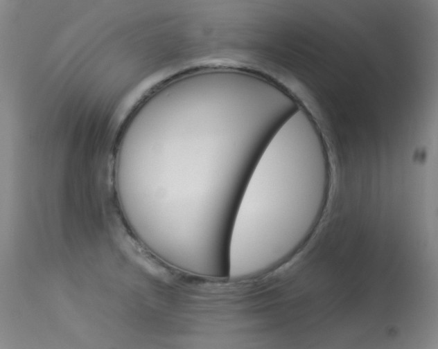 X0000114141232200910081019