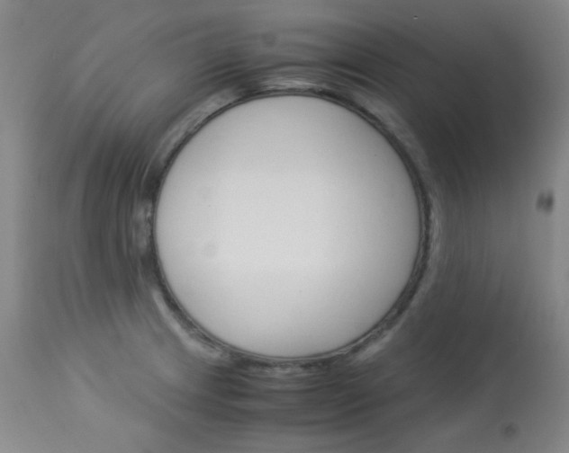 X0000114141233200910081019