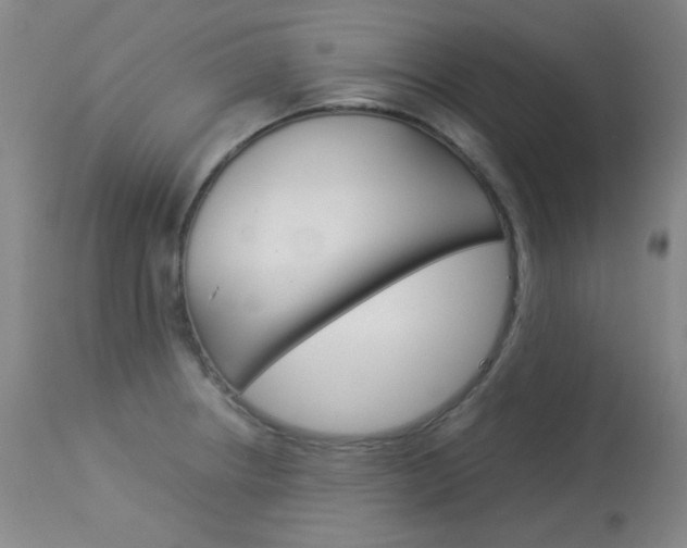 X0000114141234200910081019