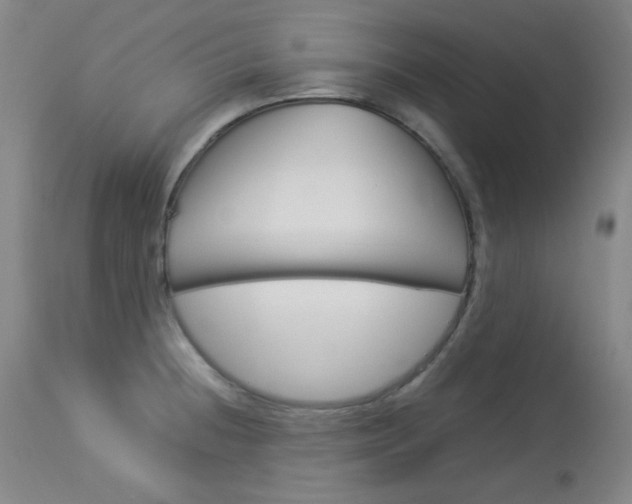 X0000114141236200910081019