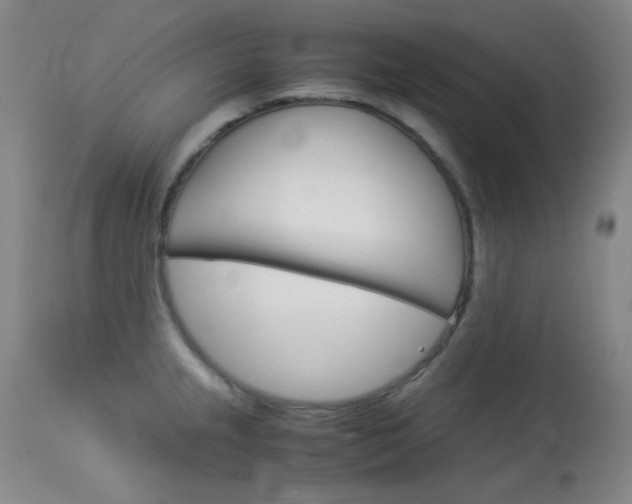 X0000114141237200910081019