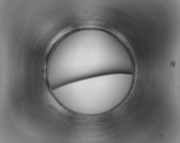 X0000114141238200910081019