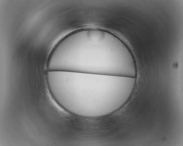 X0000114141239200910081019