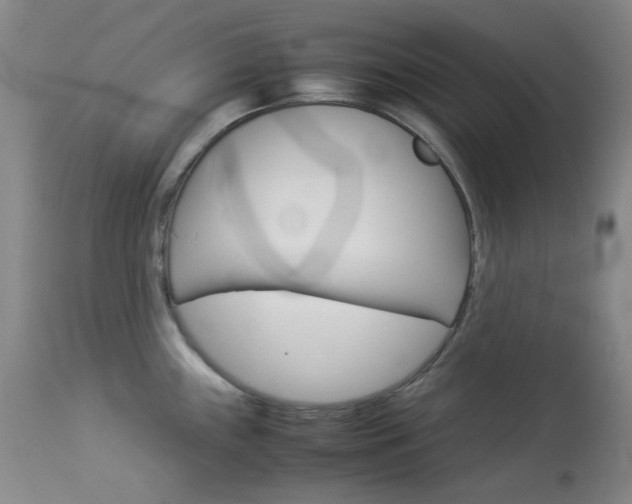 X0000114141243200910081019