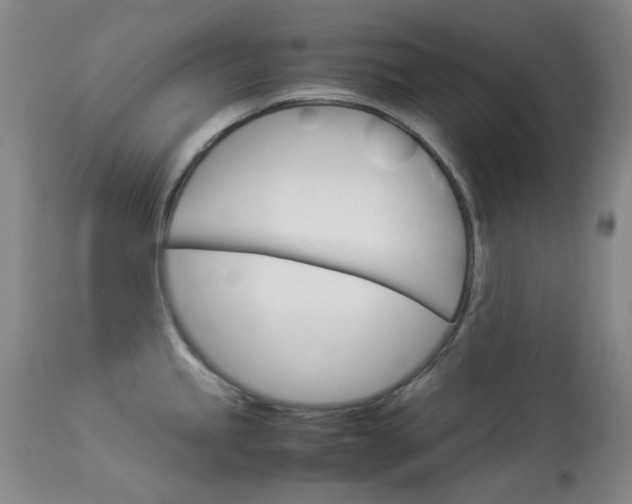 X0000114141245200910081019