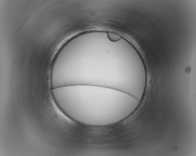 X0000114141247200910081019