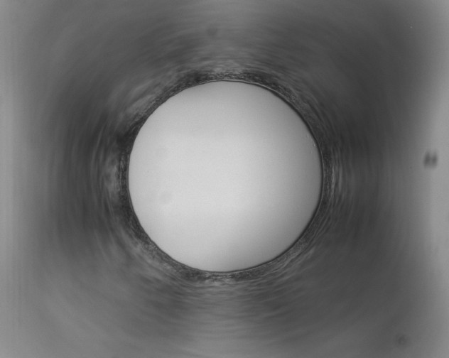 X0000114141250200910081018