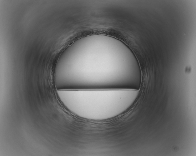 X0000114141252200910081018