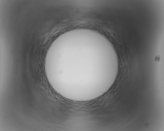 X0000114141253200910081018