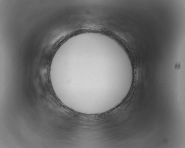 X0000114141254200910081018