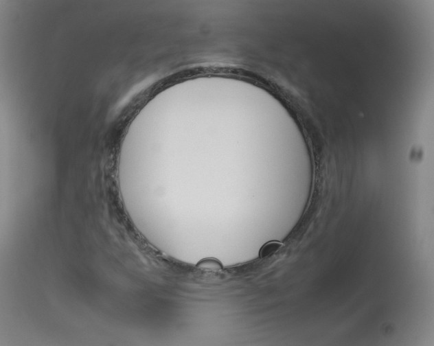 X0000114141255200910081018