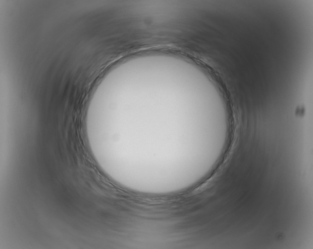 X0000114141257200910081018