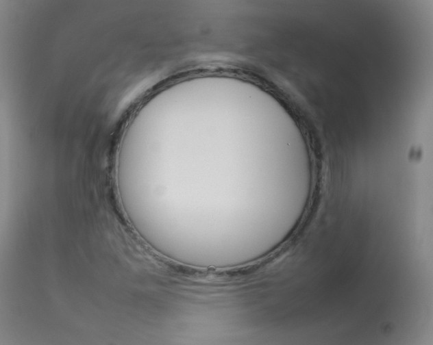 X0000114141261200910081018