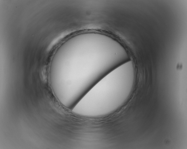 X0000114141262200910081018