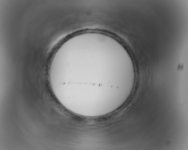X0000114141263200910081018
