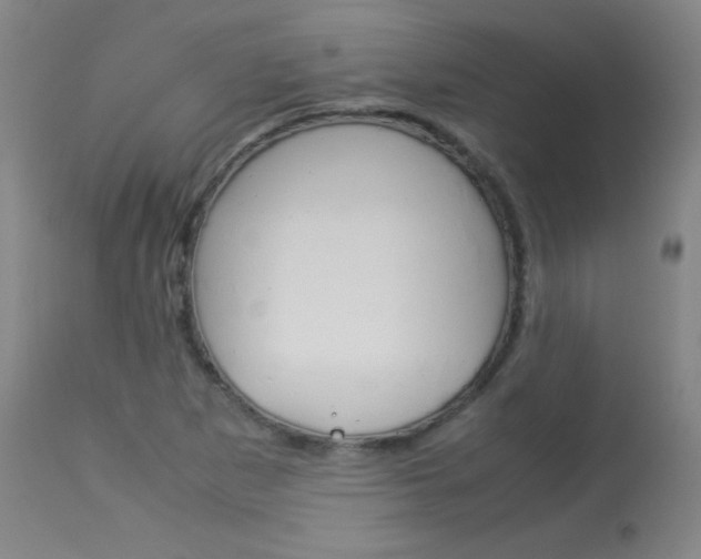 X0000114141265200910081018