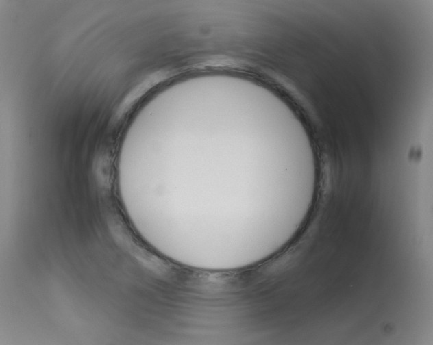 X0000114141266200910081018
