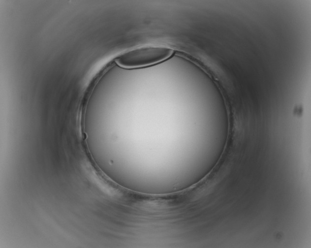 X0000114141272200910081018
