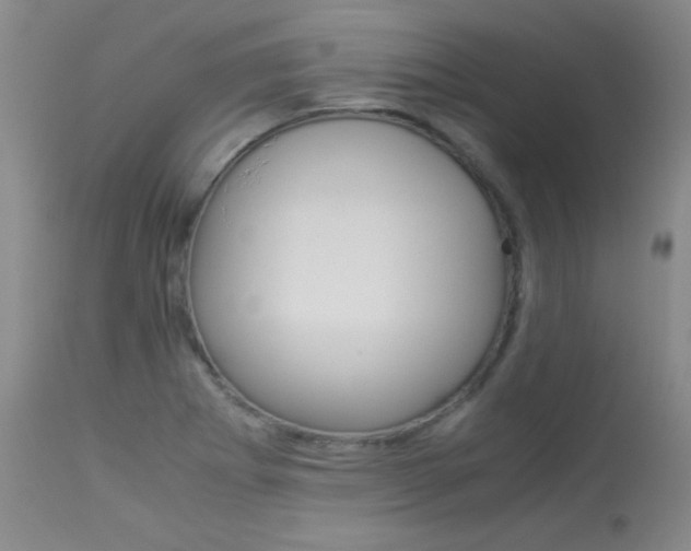 X0000114141273200910081018