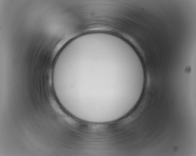 X0000114141274200910081018