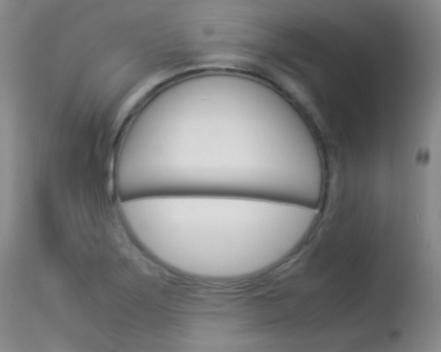 X0000114141275200910081018