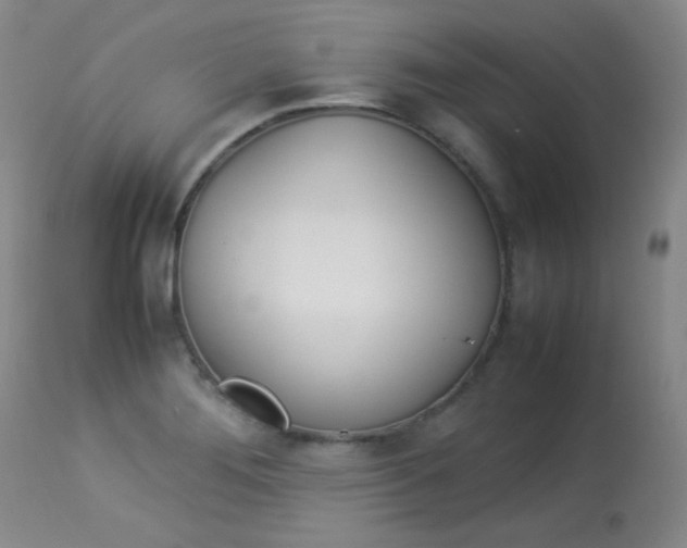 X0000114141276200910081018
