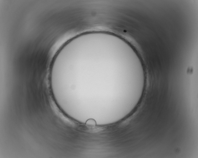 X0000114141278200910081018