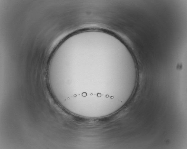 X0000114141279200910081018