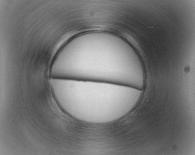 X0000114141283200910081018