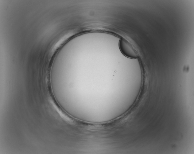X0000114141285200910081018