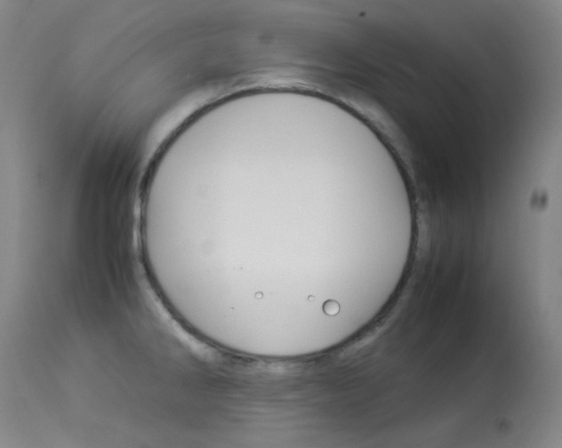 X0000114141286200910081018