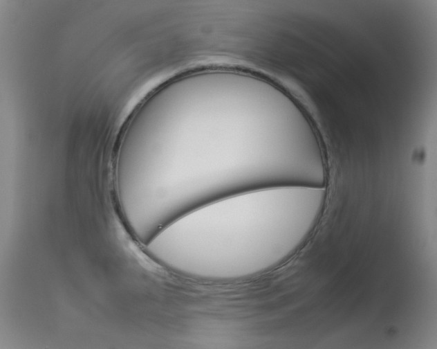 X0000114141287200910081018